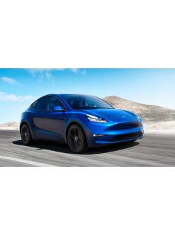 Model Y