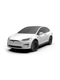 Model X